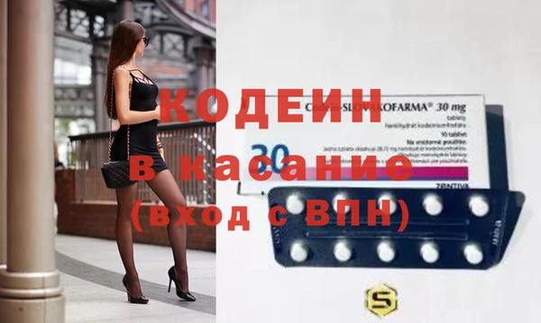 ПСИЛОЦИБИНОВЫЕ ГРИБЫ Арсеньев