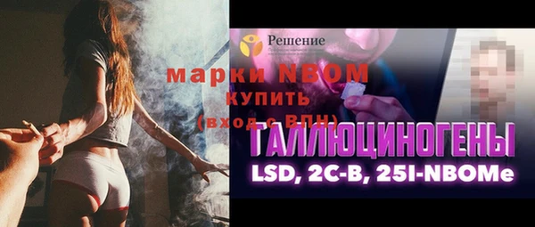 ПСИЛОЦИБИНОВЫЕ ГРИБЫ Арсеньев
