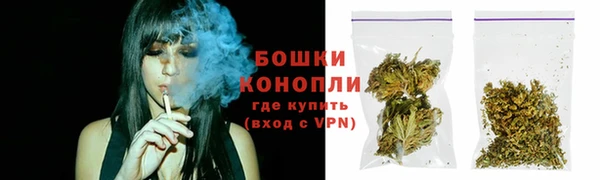 ПСИЛОЦИБИНОВЫЕ ГРИБЫ Арсеньев
