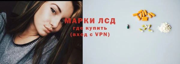 ПСИЛОЦИБИНОВЫЕ ГРИБЫ Арсеньев