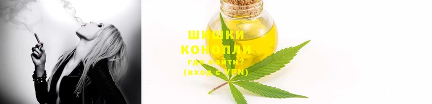 ПСИЛОЦИБИНОВЫЕ ГРИБЫ Арсеньев