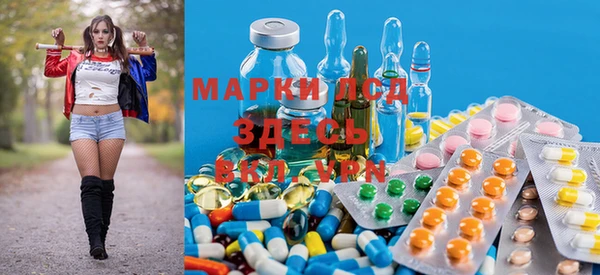 ПСИЛОЦИБИНОВЫЕ ГРИБЫ Арсеньев
