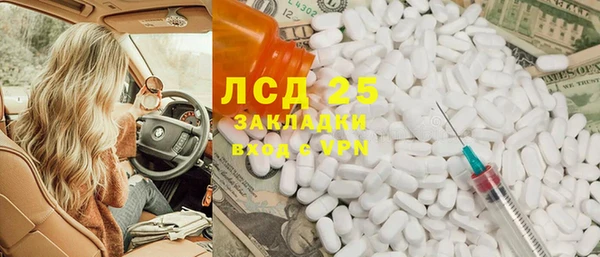 ПСИЛОЦИБИНОВЫЕ ГРИБЫ Арсеньев