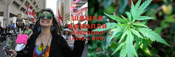 трава Армянск
