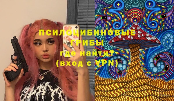 ПСИЛОЦИБИНОВЫЕ ГРИБЫ Арсеньев